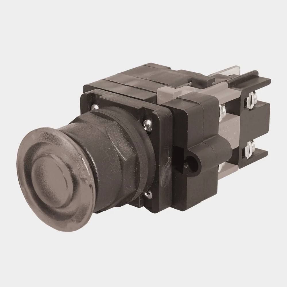 Benshaw R2PB30-IL2P-24-G