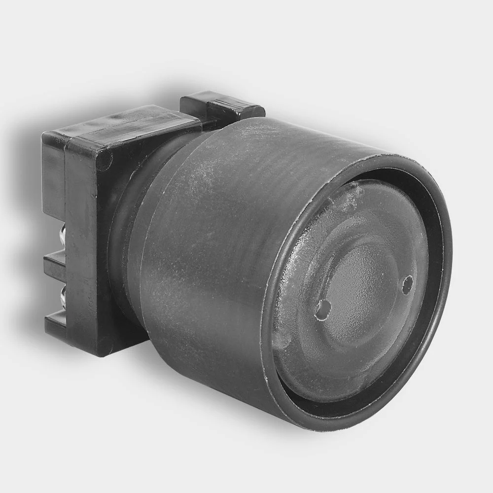 Benshaw R2PB30-ILS-24-B