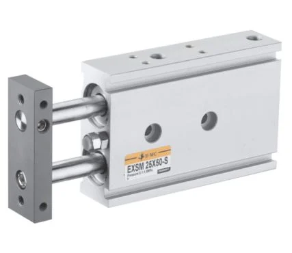 EMC EXSM10X30-S Double Shaft Cylinder, 10mm Bore