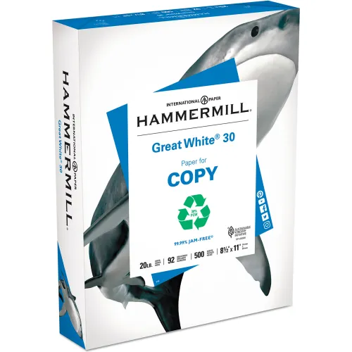 Hammermill® Recycled Print Paper - White - 20 lbs. - 8-1/2" x 11" - 5000 Sheets/Carton